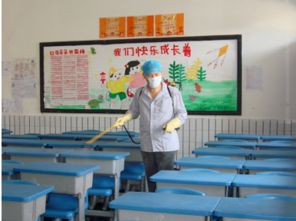 大连地区专业虫害防治与教育咨询服务指南