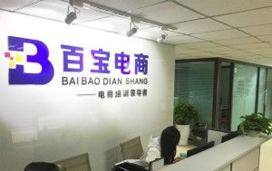 成都百宝教育咨询 专业引领，成就未来教育之路